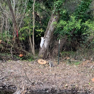 Meet your Posher, Wasna